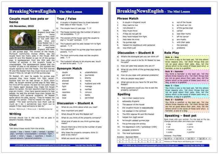 A 2-Page Mini-Lesson - Pets