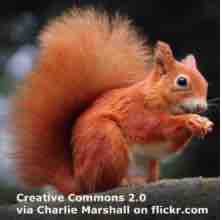 An ESL lesson on Banknotes  - Anger in UK over wildlife pictures on banknotes 